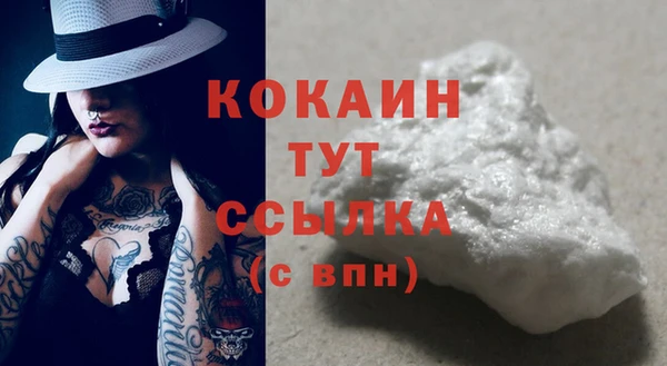 индика Богородицк