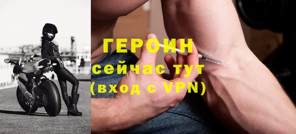 индика Богородицк