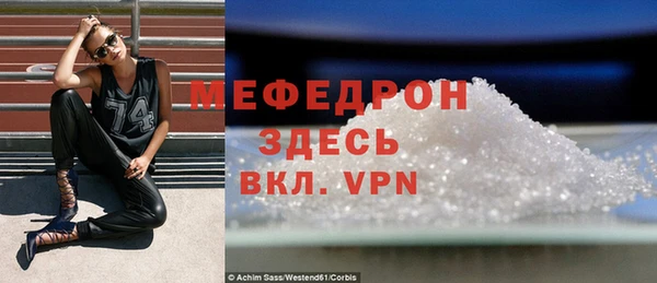 индика Богородицк