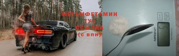 индика Богородицк
