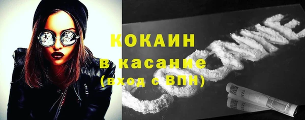 трава Богданович