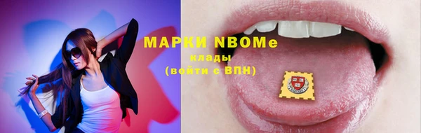 индика Богородицк