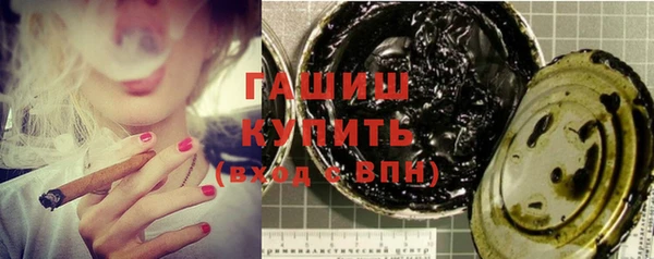 индика Богородицк