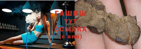 индика Богородицк