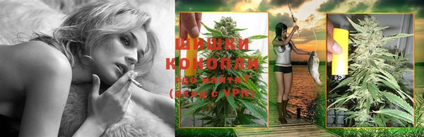 амф Богородск