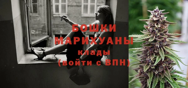 индика Богородицк