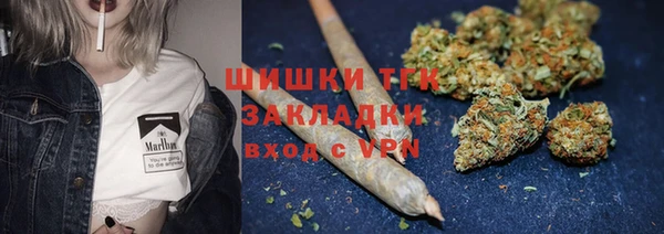 индика Богородицк