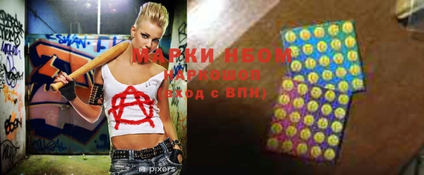 индика Богородицк