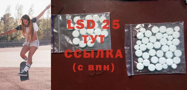 индика Богородицк