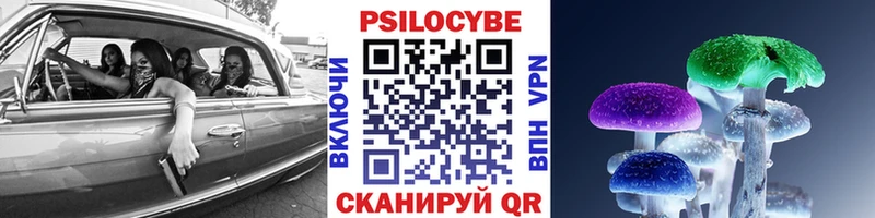 ссылка на мегу сайт  Шлиссельбург  Псилоцибиновые грибы Magic Shrooms 